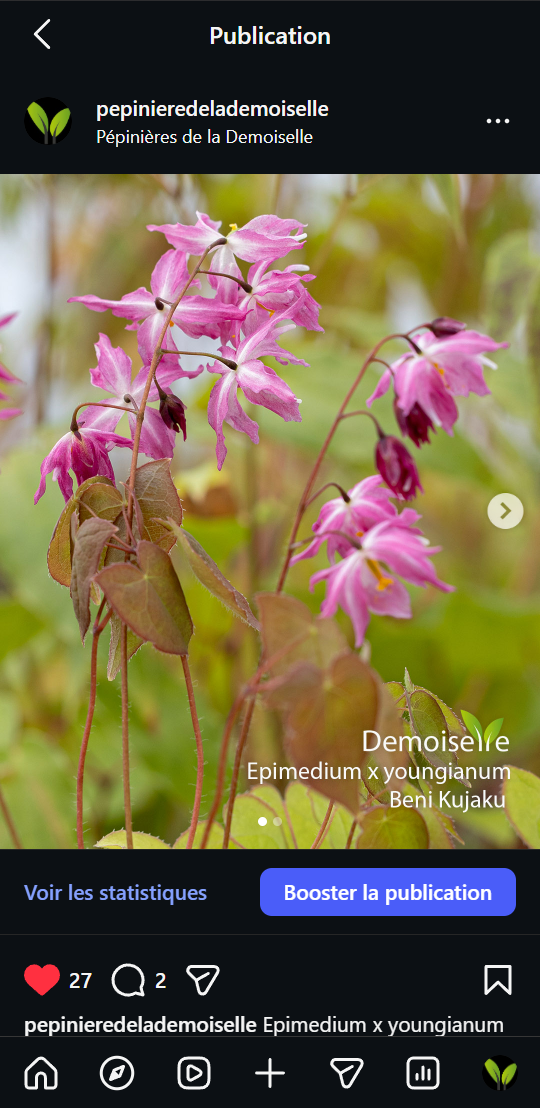 Visuel Instagram de l'offre promotionnelle